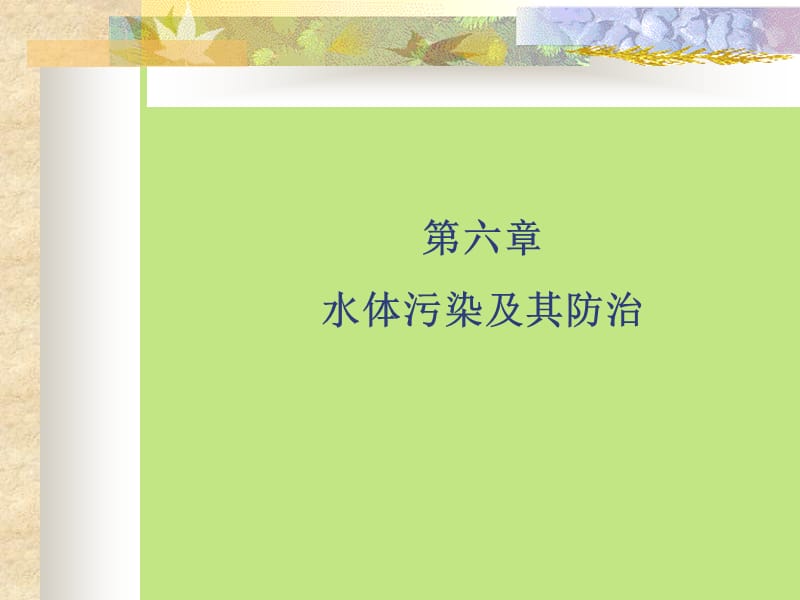 《水污染及其防治》PPT課件.ppt_第1頁