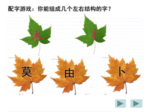 《搭配中的學(xué)問》課件.ppt