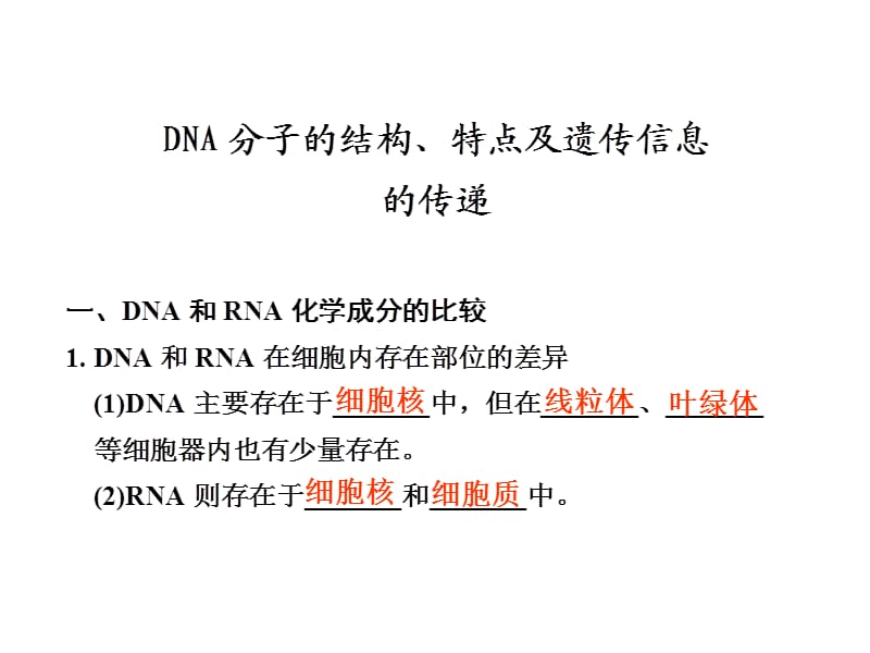 DNA分子的结构与特点.ppt_第1页