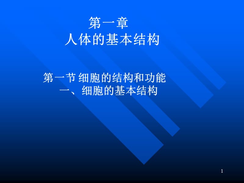 《人體解剖學(xué)》課件-第一章-人體基本結(jié)構(gòu).ppt_第1頁(yè)