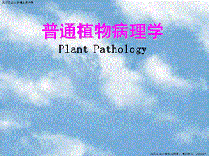 《普通植物病理學》課件.ppt