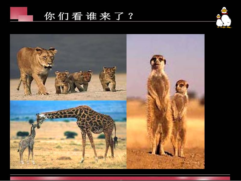 《和媽媽在一起》PPT課件.ppt_第1頁