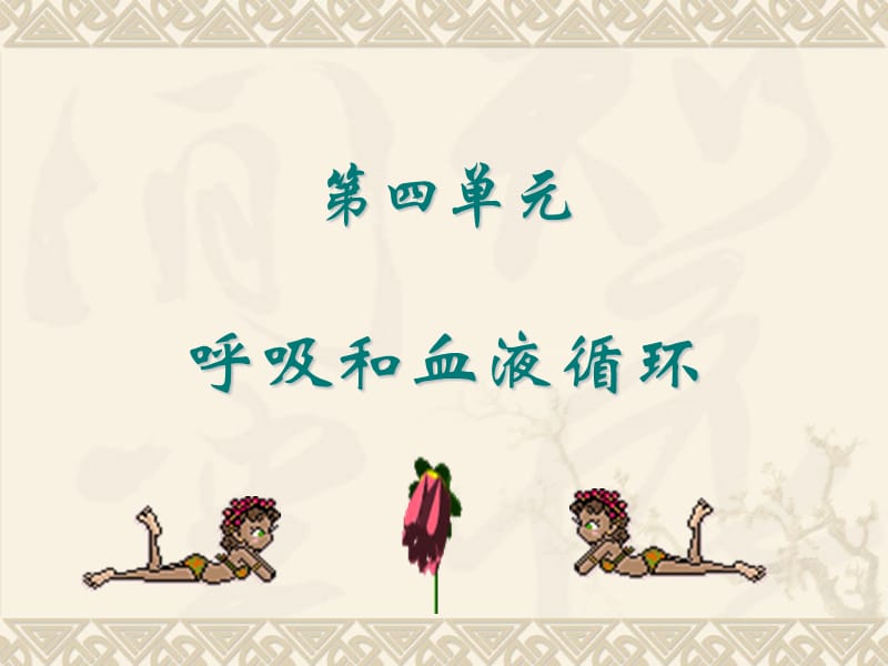 《呼吸和血液循環(huán)》PPT課件.ppt_第1頁