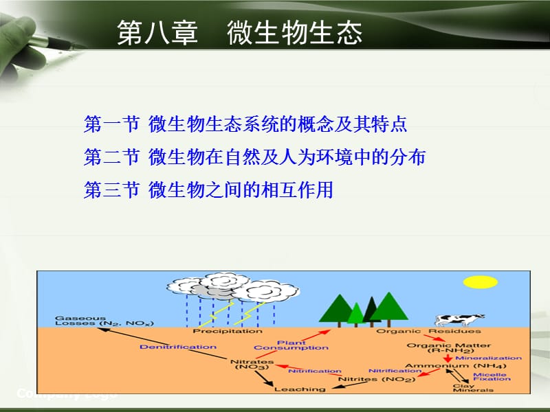 《微生物生态》PPT课件.ppt_第1页