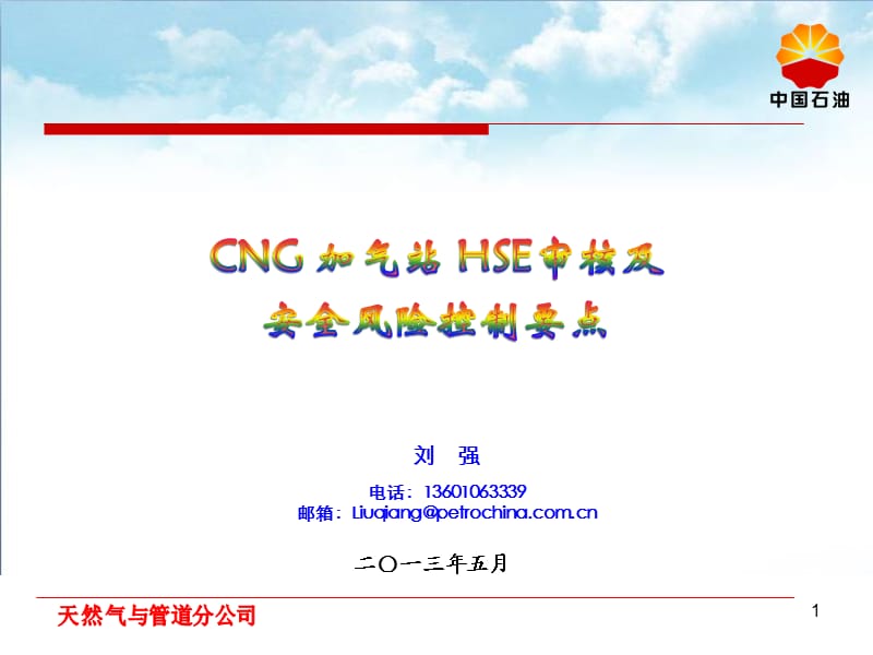 CNGHSE审核要素及风险控制.ppt_第1页