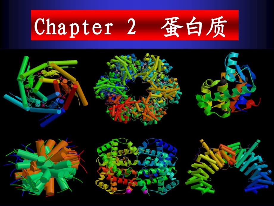 Chapter-2-蛋白质-3-蛋白质分离技术.ppt_第1页