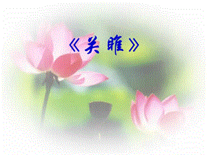 《關(guān)雎蒹葭》PPT課件.ppt