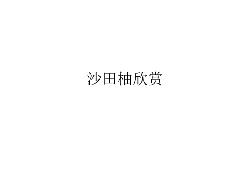 《沙田柚欣赏》PPT课件.ppt_第1页