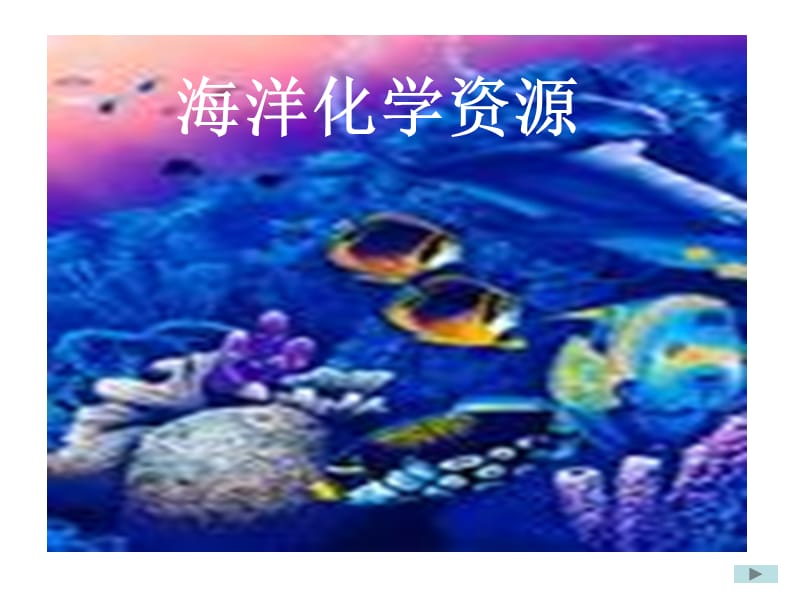 《海洋化學(xué)資源》PPT課件.ppt_第1頁(yè)