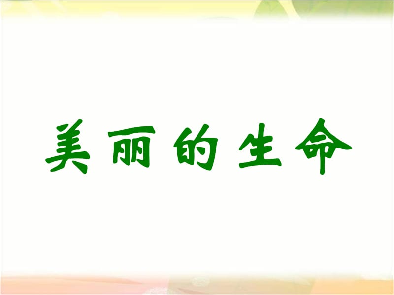 《美丽的生命》PPT课件.ppt_第1页