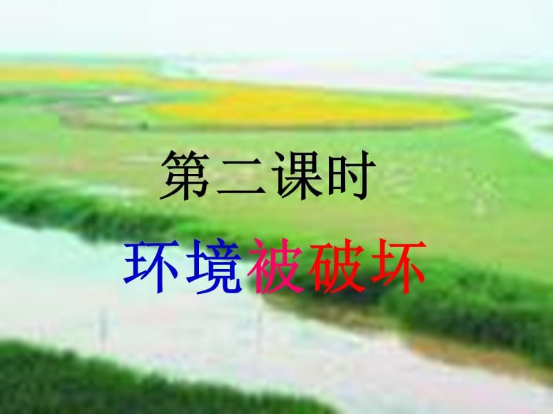 八年级政治环境被破坏.ppt_第1页