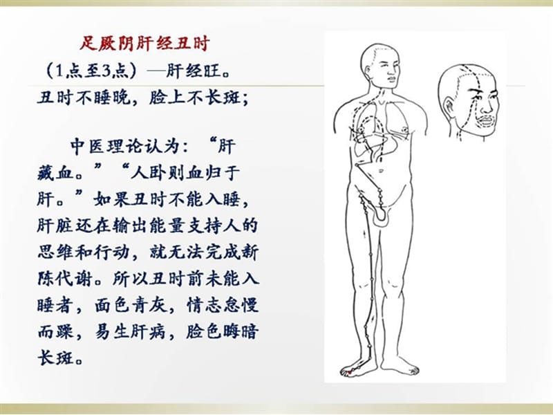 人体经络时辰表(配图)十二经络.ppt_第1页