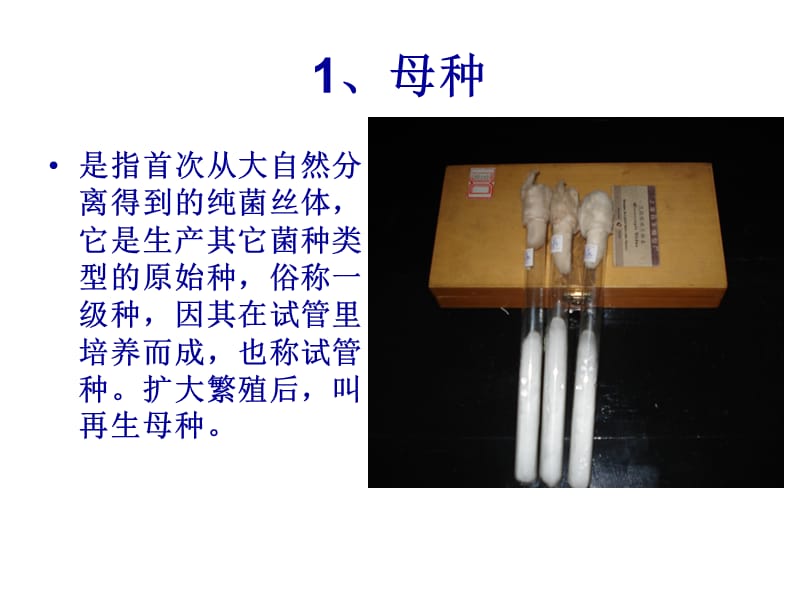 《食用菌菌种的制备》PPT课件.ppt_第2页