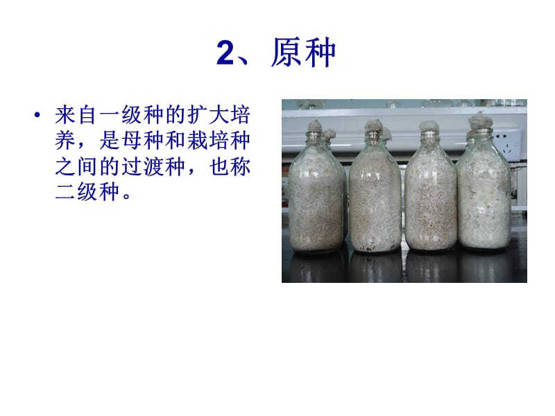 《食用菌菌种的制备》PPT课件.ppt_第3页