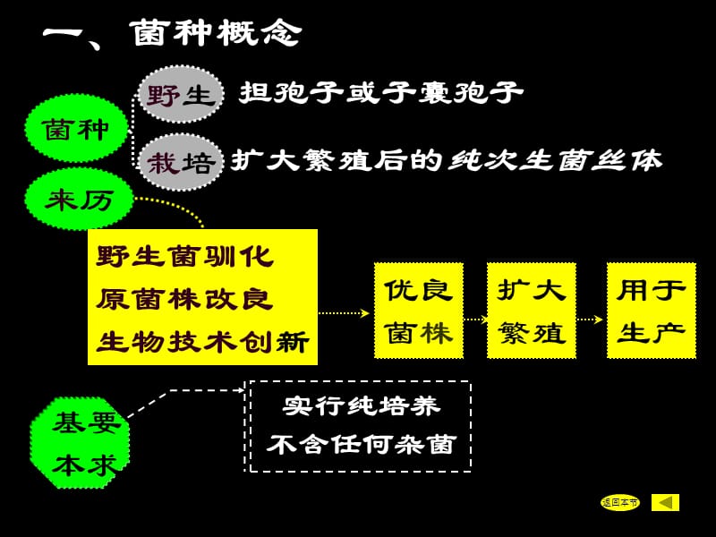 《食用菌菌种生产》PPT课件.ppt_第3页