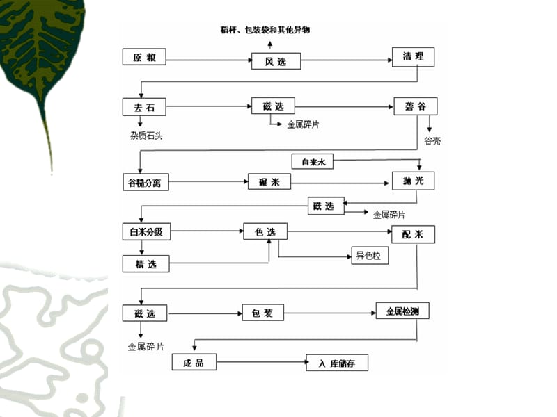 农产品加工-稻米加工面粉加工泡菜制作等.ppt_第2页