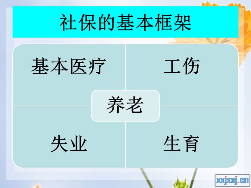 《社会保险法培训》PPT课件.ppt_第2页