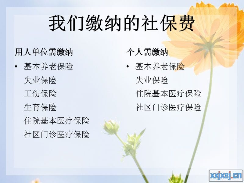 《社会保险法培训》PPT课件.ppt_第3页