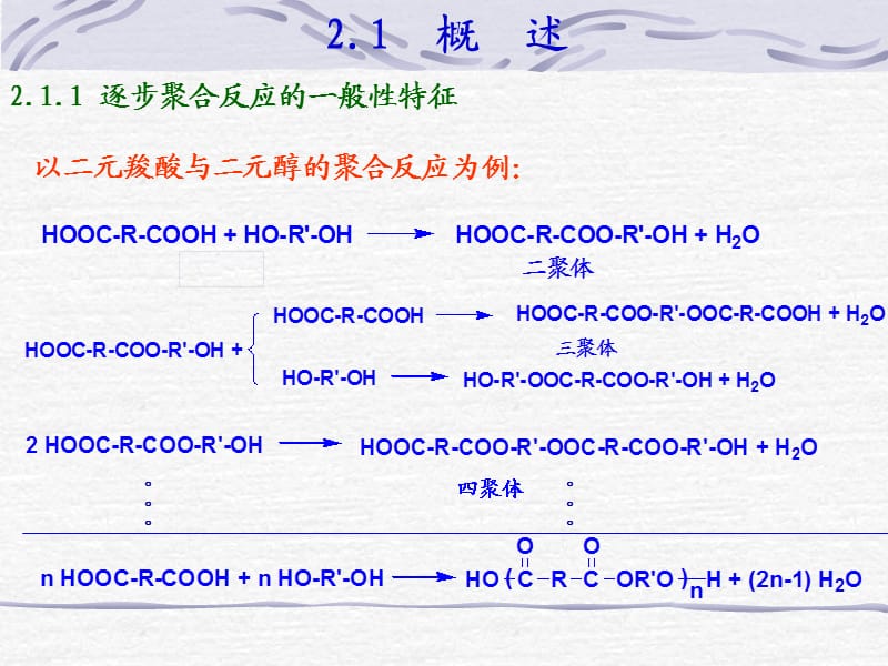 《高分子化学第二章》PPT课件.ppt_第2页