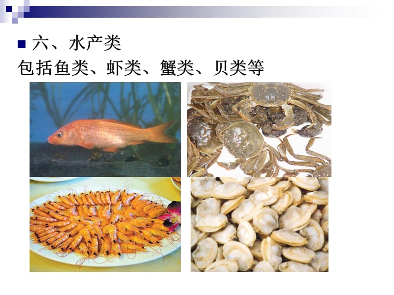 《食物的營(yíng)養(yǎng)》PPT課件.ppt_第1頁(yè)