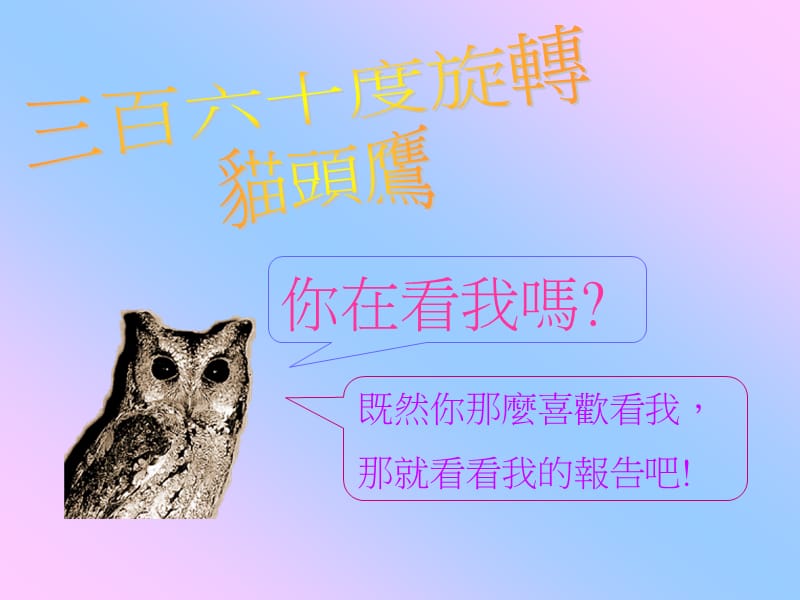 三百六十度旋转猫头鹰.ppt_第1页