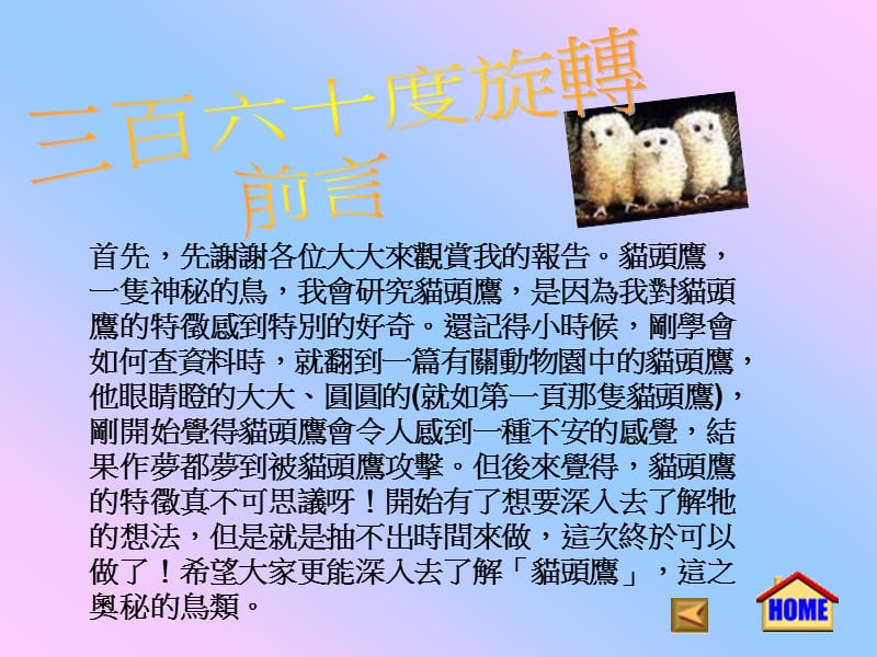 三百六十度旋转猫头鹰.ppt_第3页