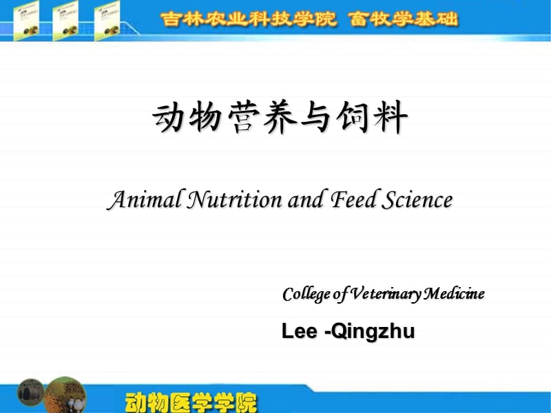 《飼料分類及粗飼料》PPT課件.ppt_第1頁