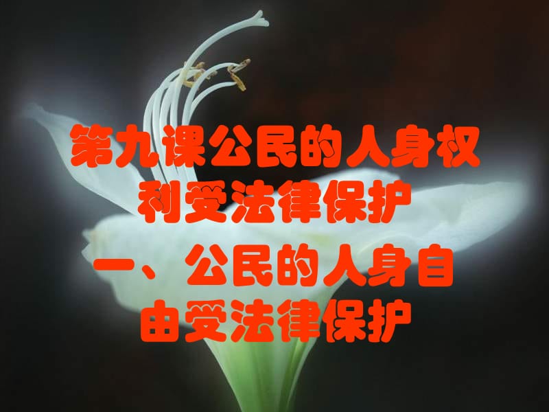 八年級(jí)政治公民的人身自由受法律保護(hù).ppt_第1頁(yè)