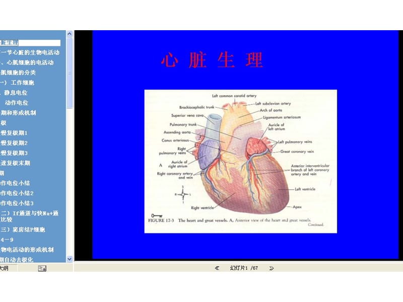 中南大学生理学第四章血液循环(上)心脏生理-生理学.ppt_第1页