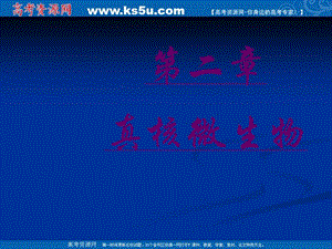 全國生物競賽輔導(dǎo)課件第二章《真核微生物》.ppt