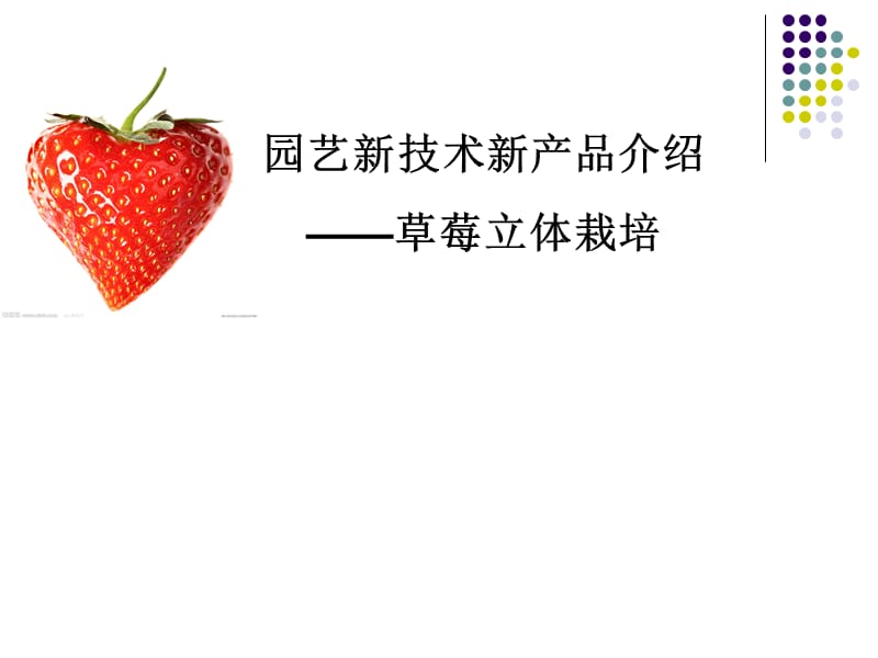 《草莓立体栽培》PPT课件.ppt_第1页