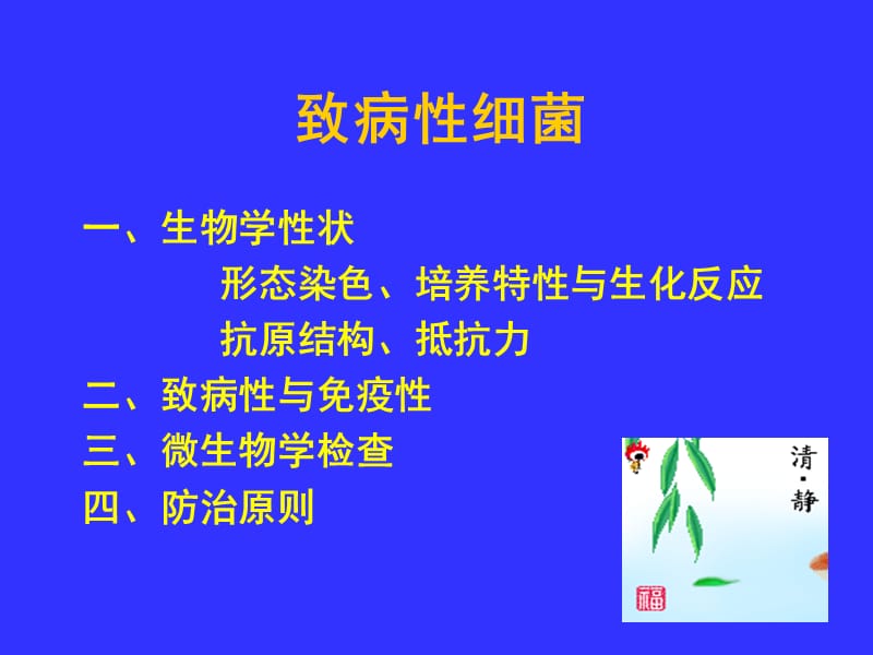 《致病性细菌》PPT课件.ppt_第1页