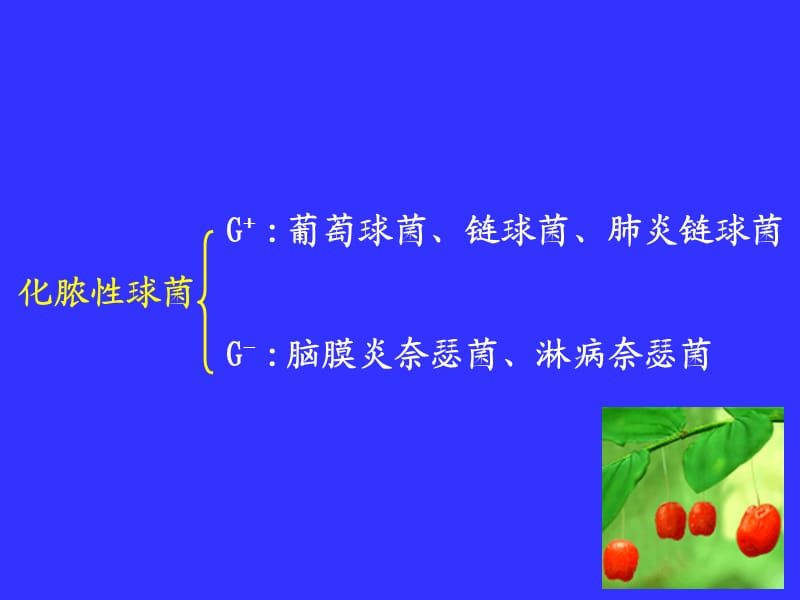 《致病性细菌》PPT课件.ppt_第2页