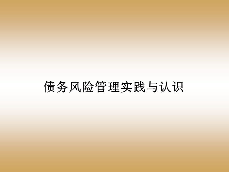 债务风险管理实践与认识.ppt_第1页