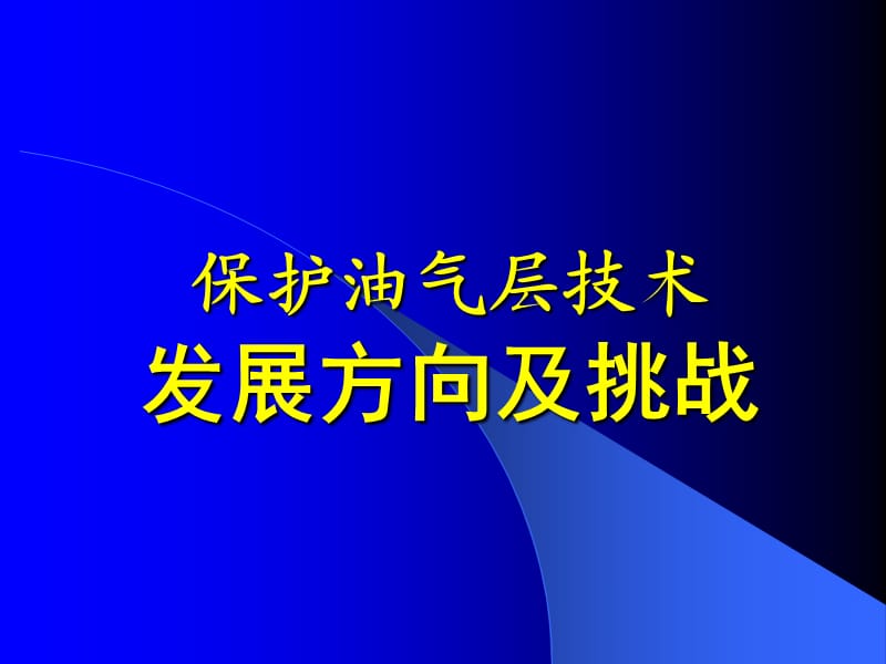 保護油氣層技術(shù)發(fā)展方向及挑戰(zhàn).ppt_第1頁