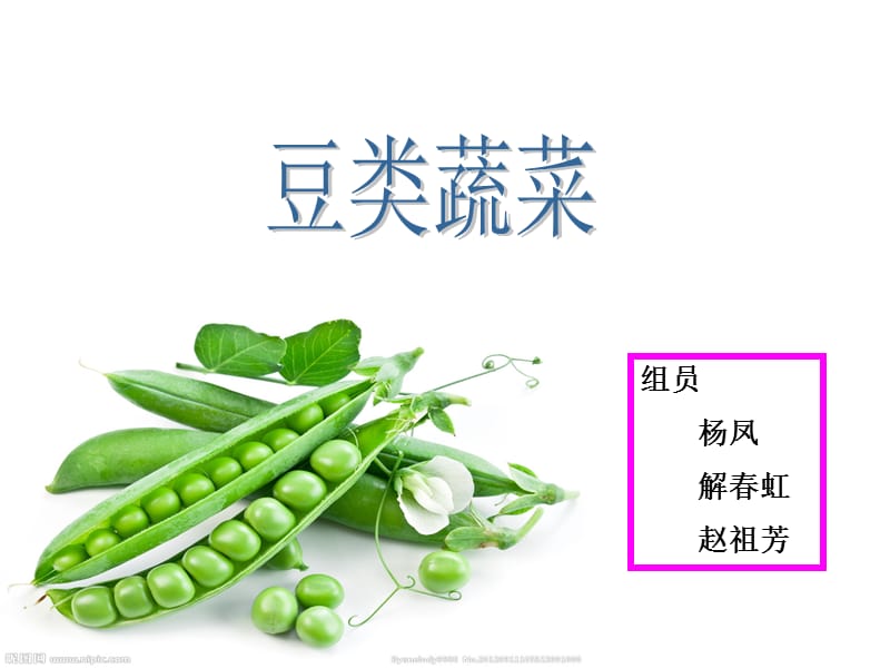 《豆类蔬菜》PPT课件.ppt_第1页