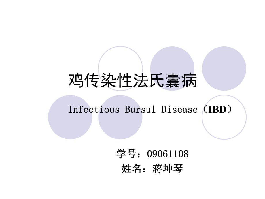 《雞傳染性法氏囊病》PPT課件.ppt_第1頁