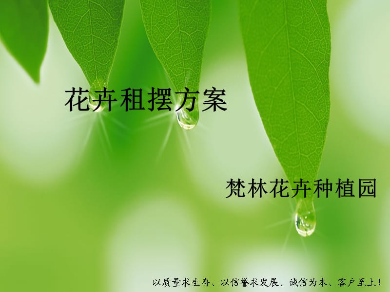 《花卉租摆方案》PPT课件.ppt_第1页