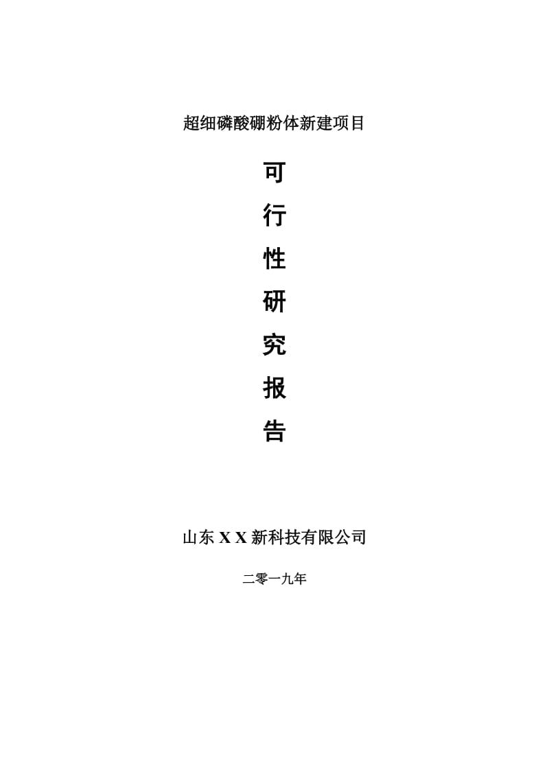 超细磷酸硼粉体新建项目可行性研究报告-可修改备案申请_第1页