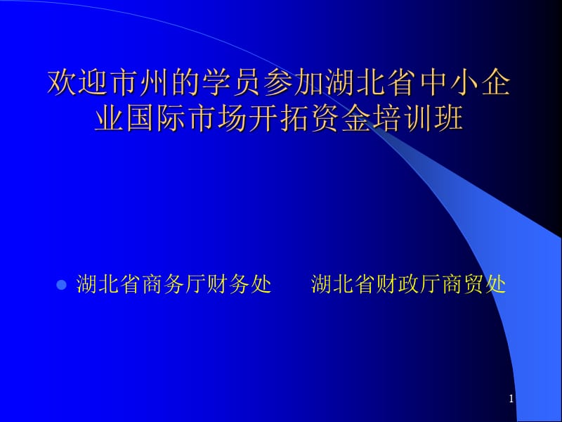 中小企業(yè)國際市場開拓資金培訓(xùn)班講義.ppt_第1頁