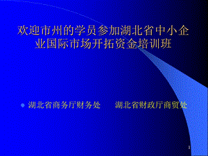 中小企業(yè)國(guó)際市場(chǎng)開(kāi)拓資金培訓(xùn)班講義.ppt