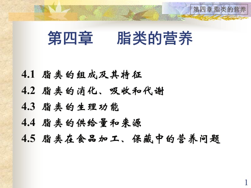 《脂类的营养》PPT课件.ppt_第1页