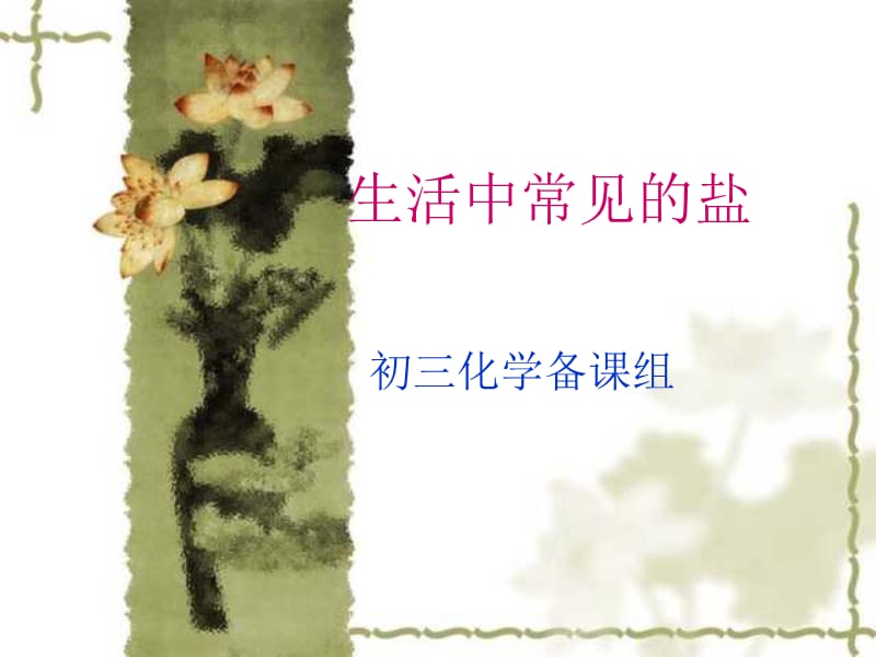 九年級(jí)化學(xué) 生活中常見的鹽.ppt_第1頁