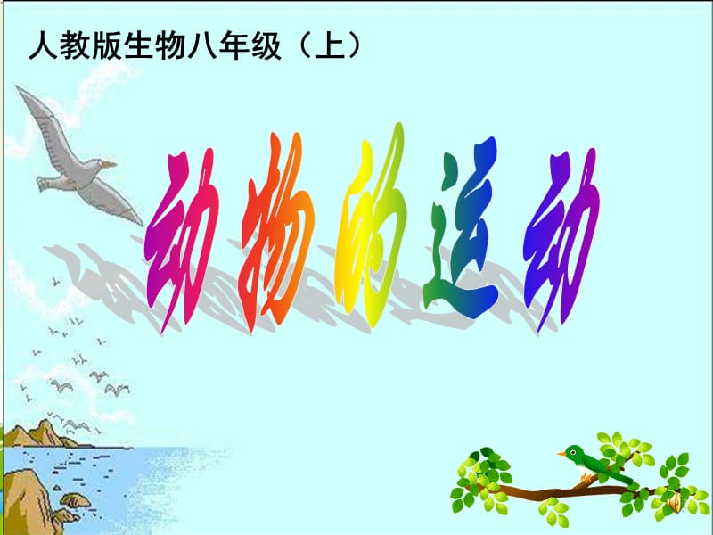 八年级生物动物的运动.ppt_第1页