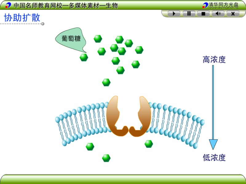 《生物细胞代谢专题》PPT课件.ppt_第3页