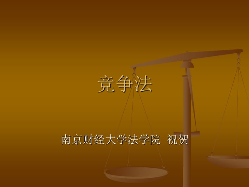 《竞争法总论》PPT课件.ppt_第1页