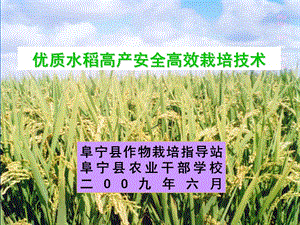 优质水稻高产安全栽培技术.ppt