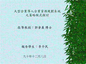 大型企業(yè)導(dǎo)入企業(yè)資源規(guī)劃系統(tǒng)之策略模式探討.ppt