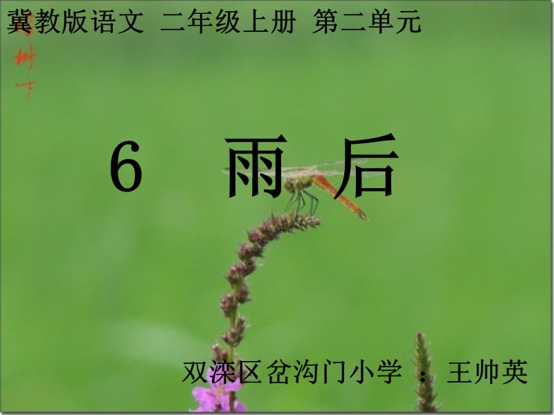 岔溝門小學(xué)冀教版二上《雨后》PPT課件.ppt_第1頁