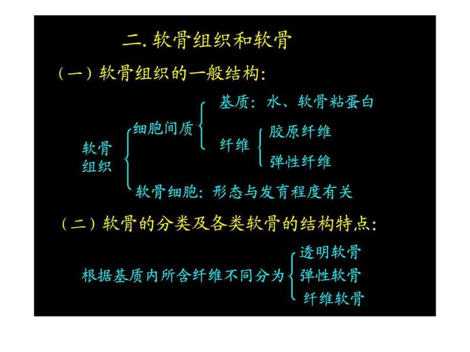 基本組織 軟骨和骨.ppt_第1頁